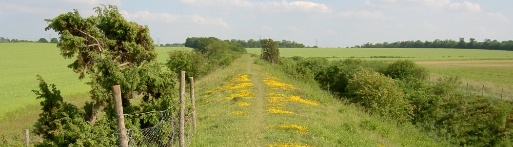 Friends of the Roman Road and Fleam Dyke